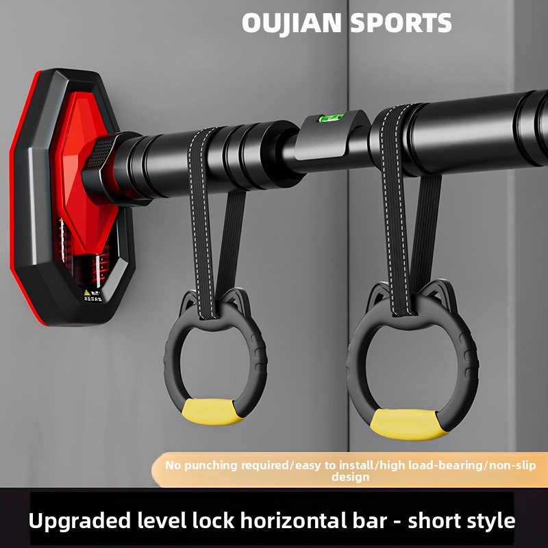 Indoor-Klimmzugstange für den  – Home Gym Rig Bewertung und Preis