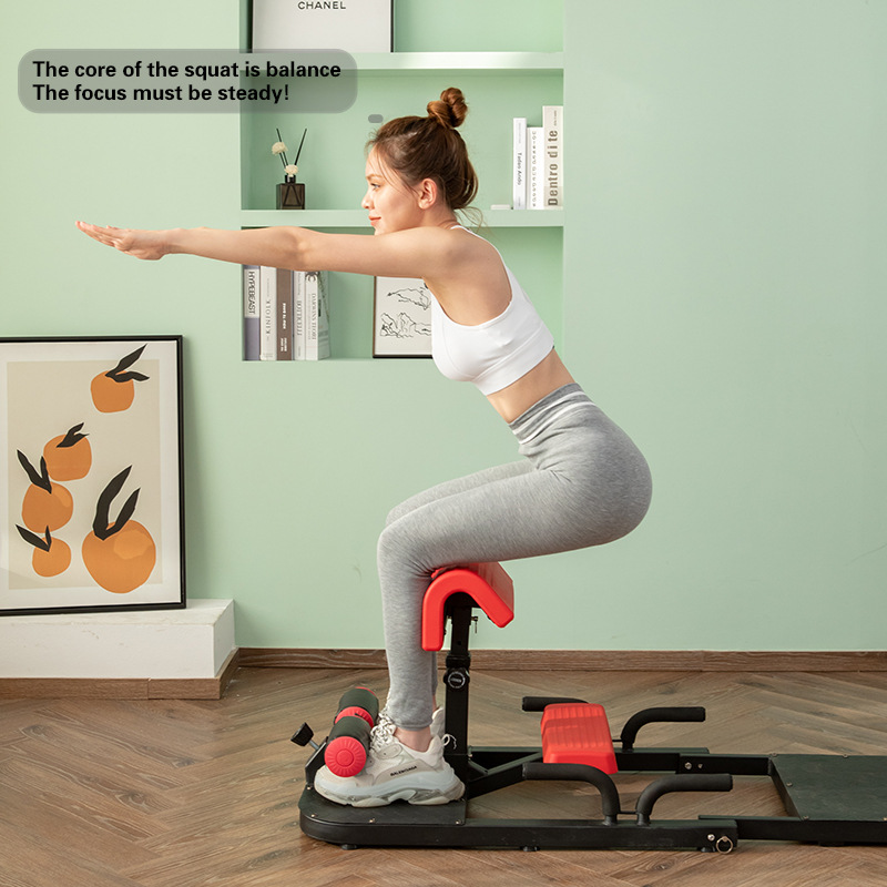 Sissy Squat Maschine 3-in-1 He – Home Gym Quad Exercises Bewertung und Preis