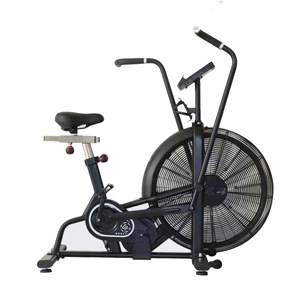 Heißverkauftes faltbares Heim- – Home Gym Bike Bewertung und Preis