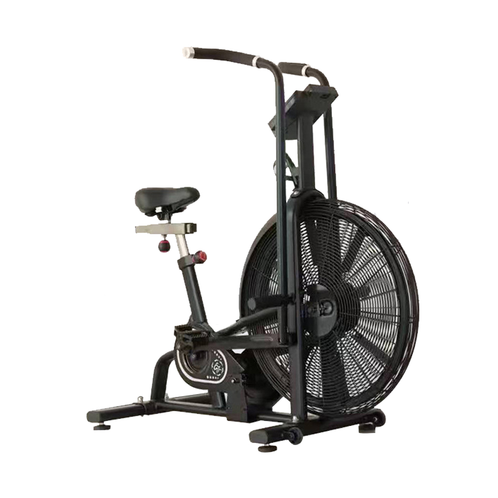 Heißverkauftes faltbares Heim- – Home Gym Bike Bewertung und Preis